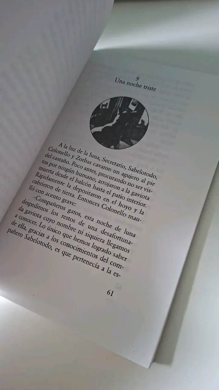'Historia de una gaviota y del gato que le en - 2
