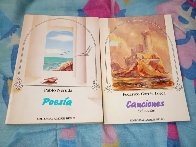 Colección de Libros de Poesía varios autores - 3