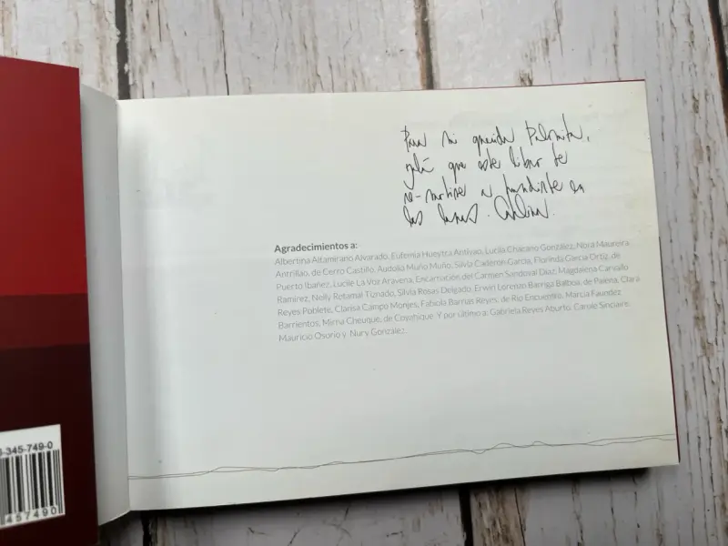 Libro Telar Patagón: Guía para Principiantes - 4