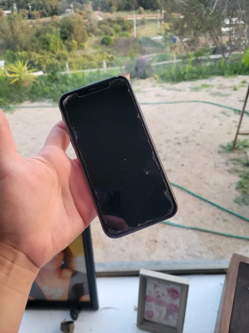 iPhone 11 en buen estado con fundas adicionales - 2