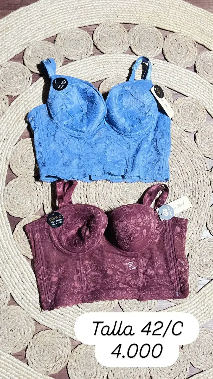 Sostenes de encaje talla 42/C en azul y burdeos