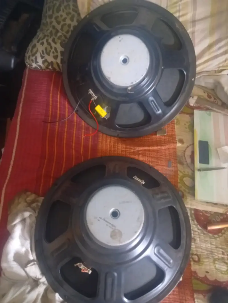 Parlantes de 15 pulgadas para sonido profesional - 3