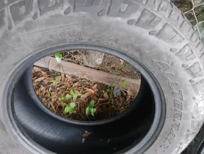 Neumático All Terrain 265/70 R17 en buen estado - miniatura 1