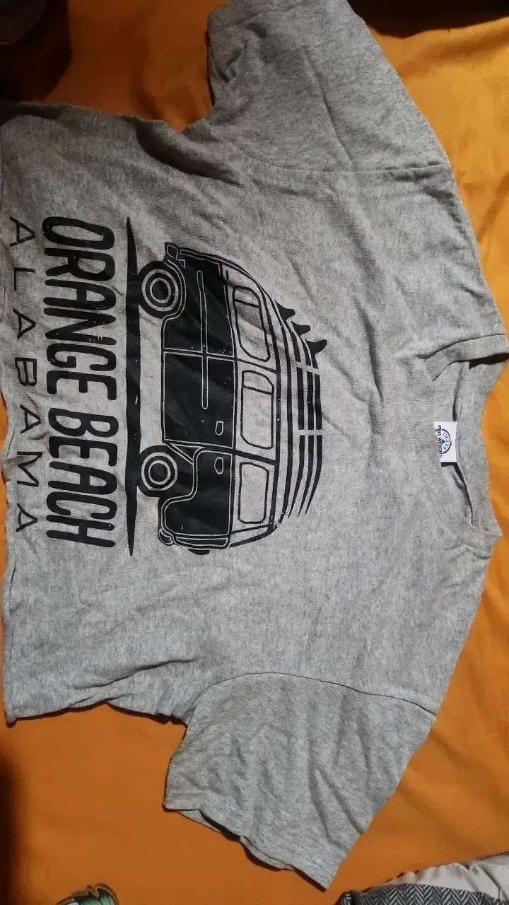 Polera gris con diseño de furgoneta - 1