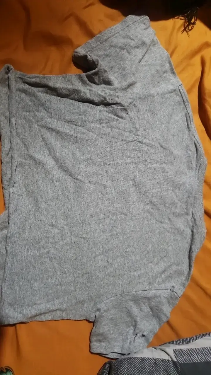 Polera gris con diseño de furgoneta - 2