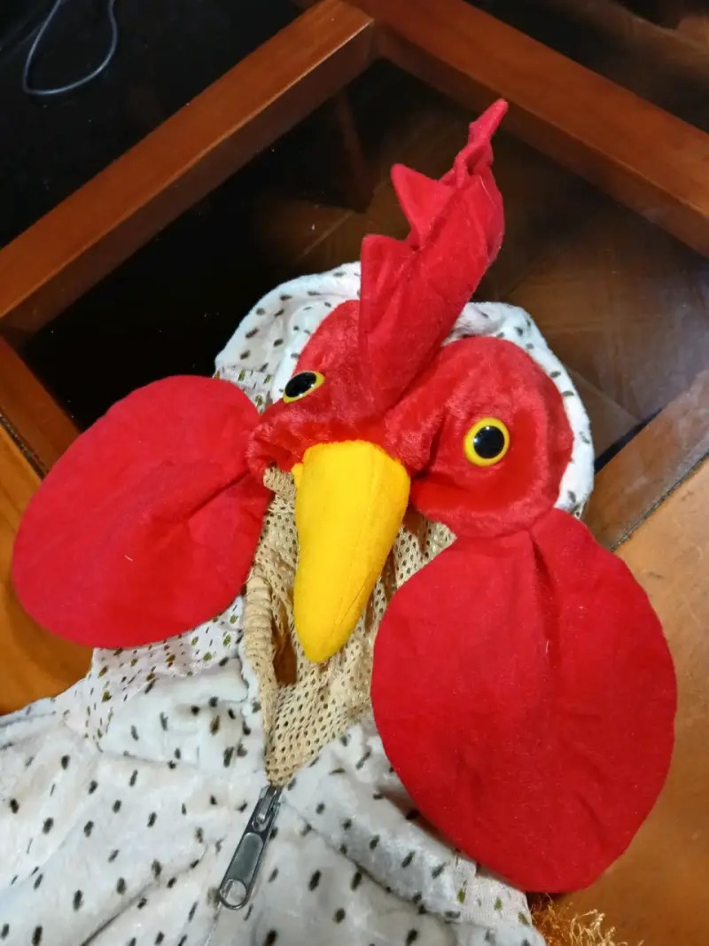 Disfraz de gallina para niños talla 2 a 3 años - 1