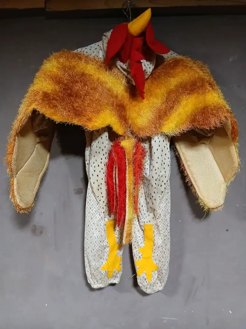 Disfraz de gallina para niños talla 2 a 3 años - 2