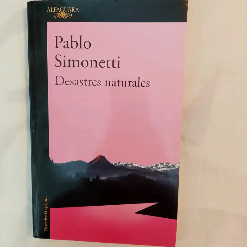 Libro 'Desastres Naturales' de Pablo Simonetti - 1