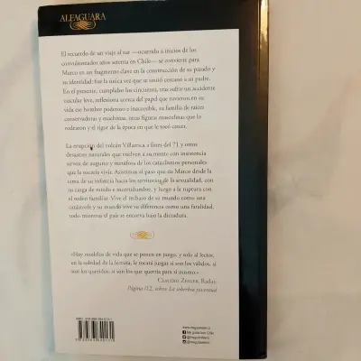 Libro 'Desastres Naturales' de Pablo Simonetti - miniatura 2