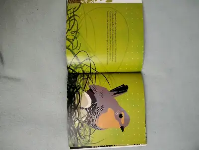 Libro infantil 'El Chucao' con ilustraciones - miniatura 2