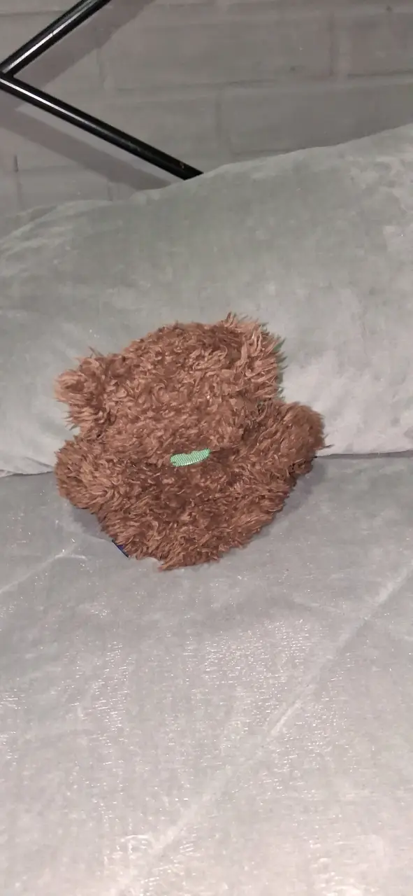 Osito de Peluche Marrón con Lazo Verde - 2