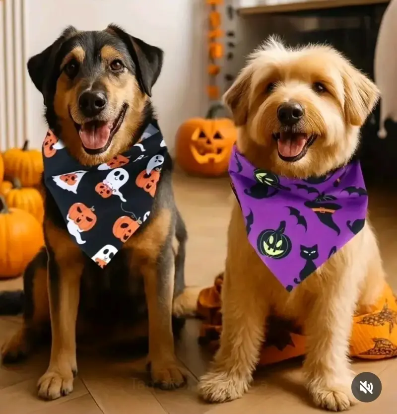 Pañuelos para mascotas con diseño de Halloween - 3