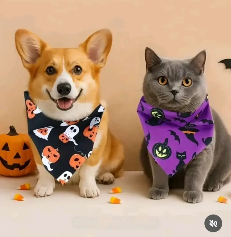 Pañuelos para mascotas con diseño de Halloween - 4