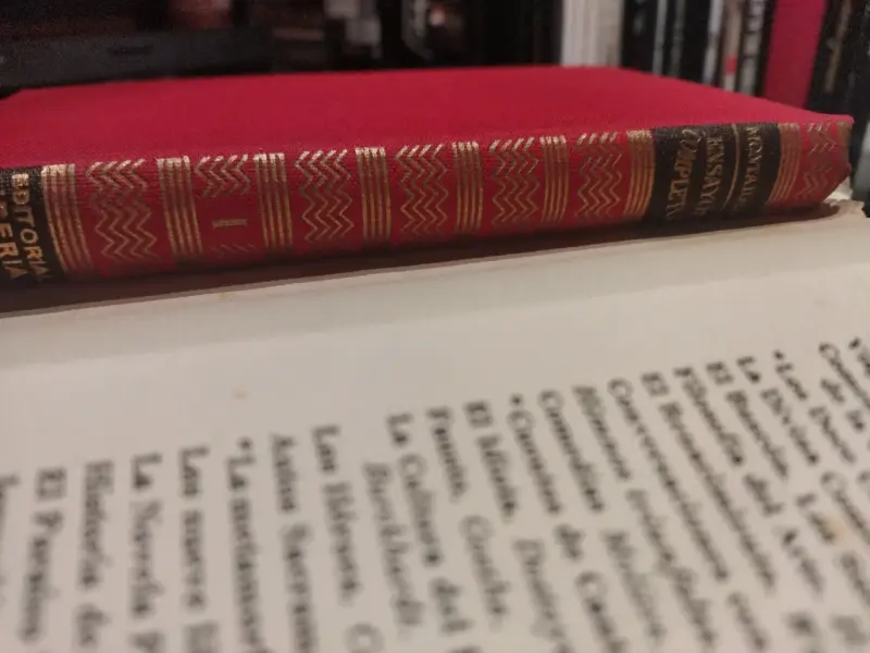 Libro Ensayos Completos de Montaigne - 6