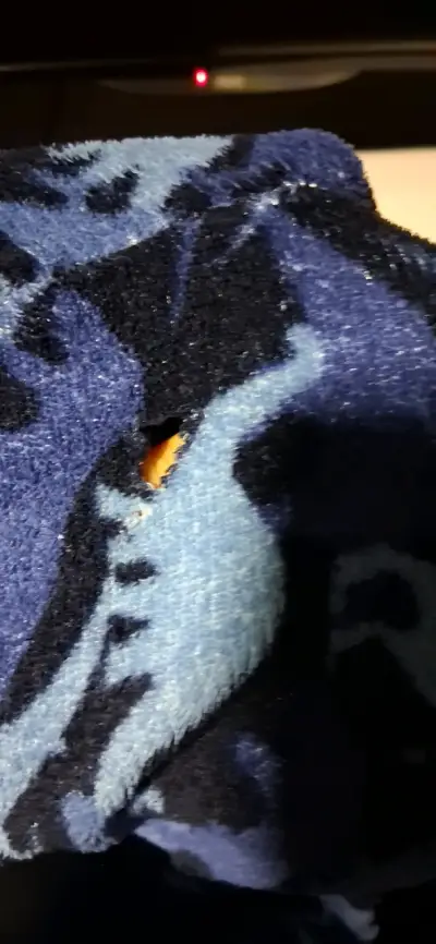 Pijama infantil azul con diseño de dinosaurios - miniatura 5