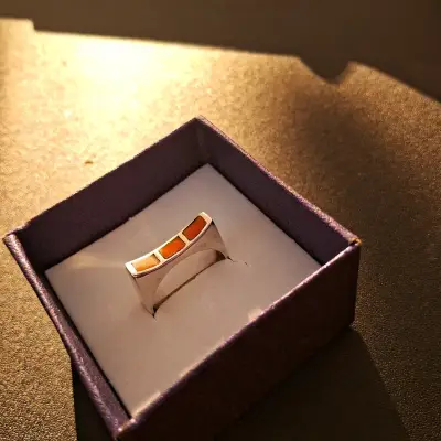 Aros colgantes de delfín en plata 925 - miniatura 2