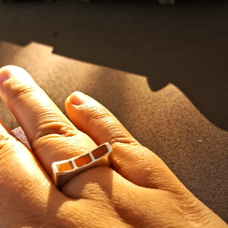 Aros colgantes de delfín en plata 925 - 3
