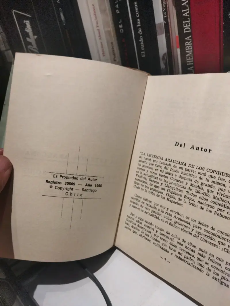 Libro 'La leyenda araucana de los copihues rojos' de Oscar S. Jano - 3
