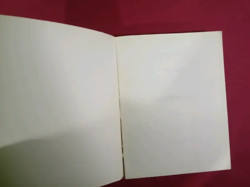 Libro Historia de Valparaíso por Benjamín Vicuña Mackenna - 2