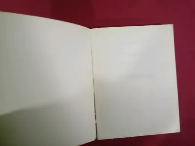 Libro Historia de Valparaíso por Benjamín Vicuña Mackenna - miniatura 2