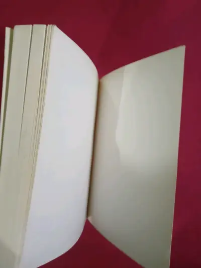 Libro Historia de Valparaíso por Benjamín Vicuña Mackenna - miniatura 5