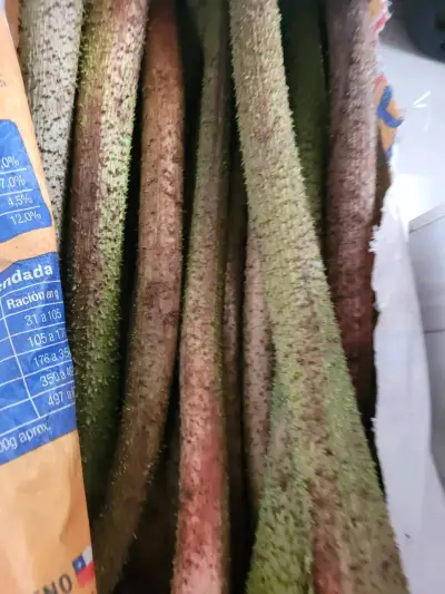 Rábano fresco picado para ensaladas - miniatura 5
