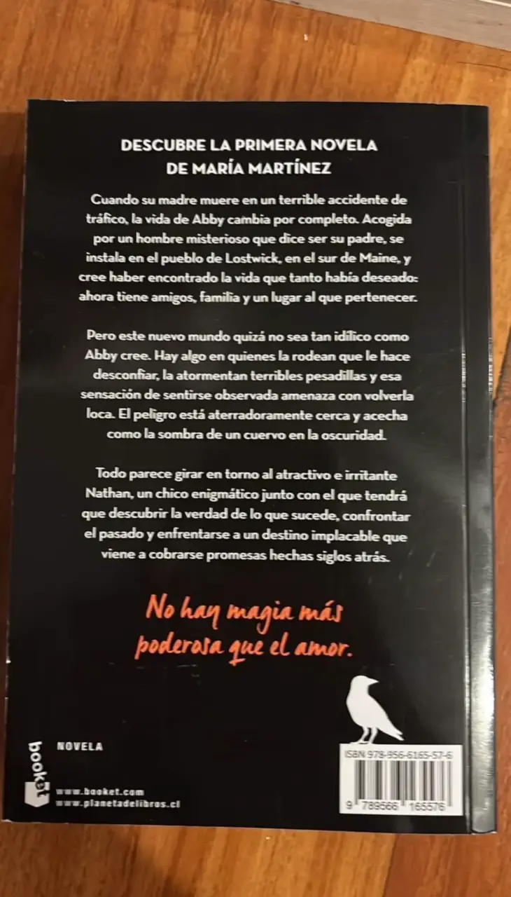 'El Encanto del Cuervo' de María Martínez - 2