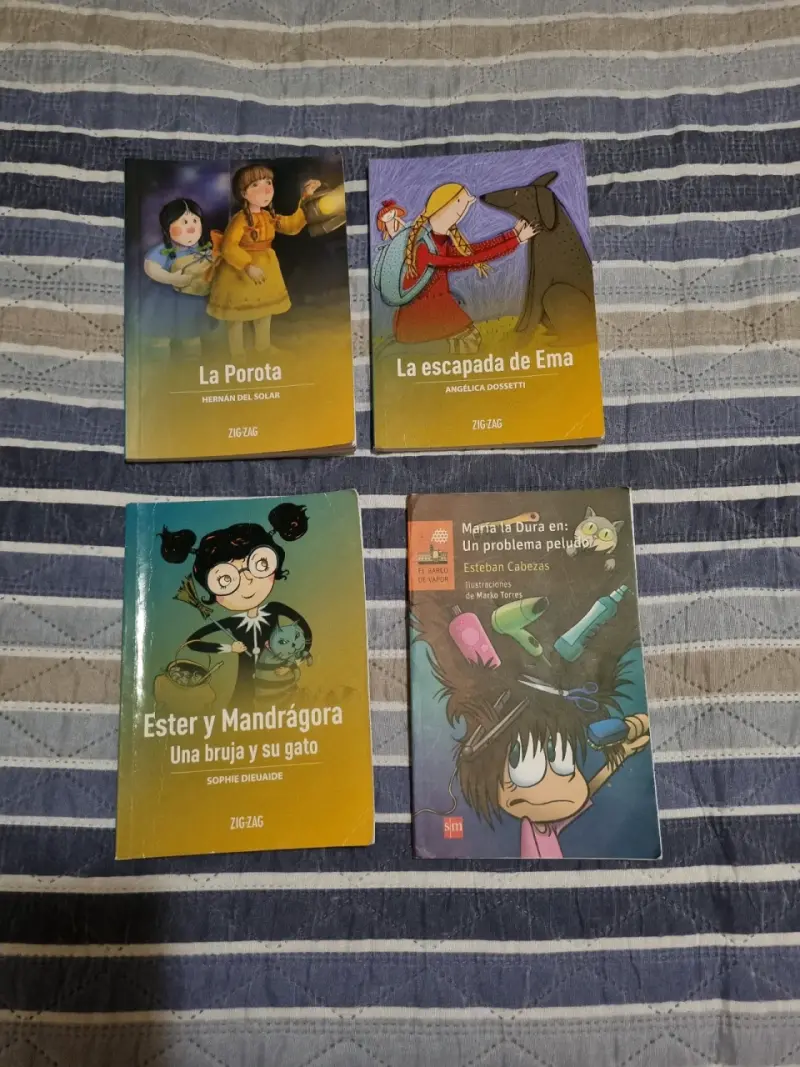 Libros de plan lector