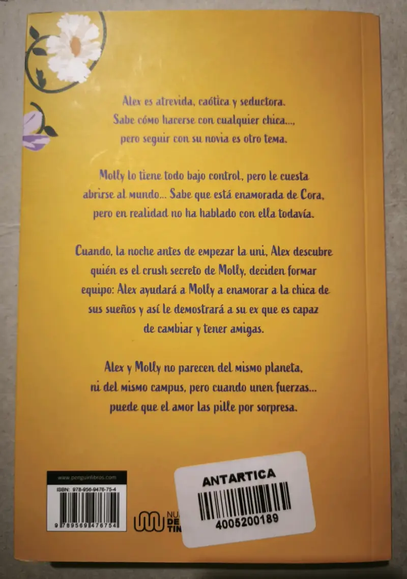Libro 'Chica Conoce Chica' de Alyson Derrick y Rachael Lippincott - 2