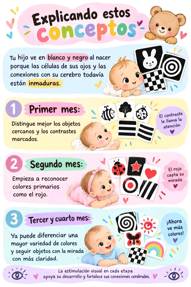 Láminas de estimulación visual para bebés 0-6 meses - 2
