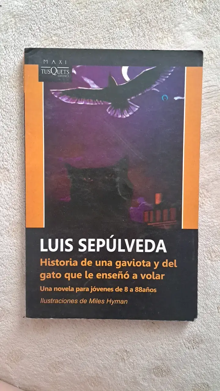 Lote libros escolares - 6