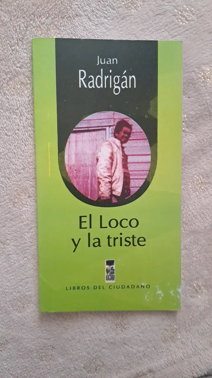 Lote de libros escolares juveniles y clásicos - 6