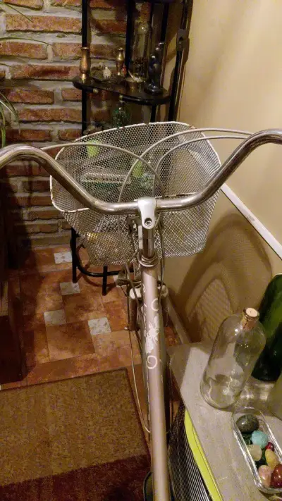 Bicicleta vintage de paseo con canasto - miniatura 2