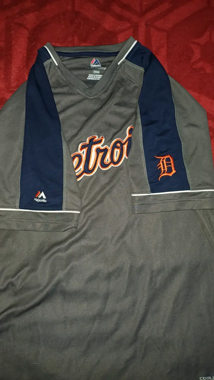 Polera deportiva Detroit gris y azul - 2