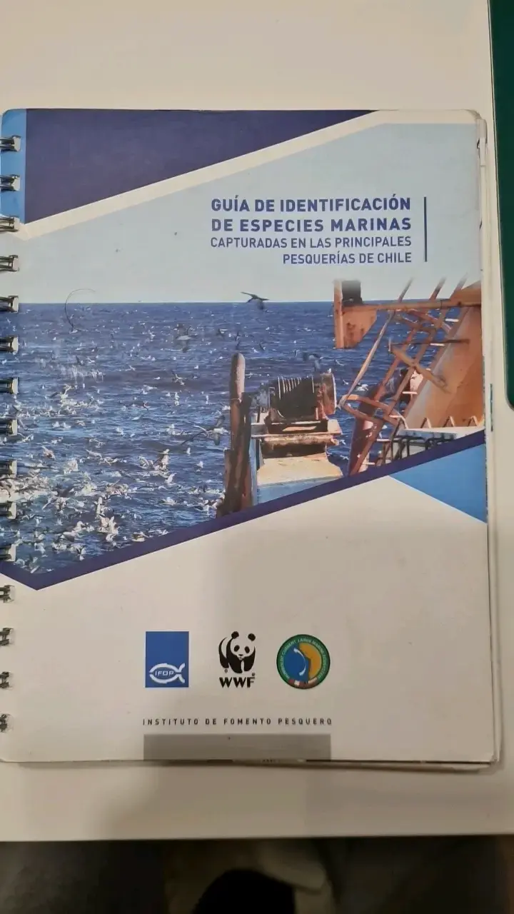Guía de Identificación de Especies Marinas  Chile