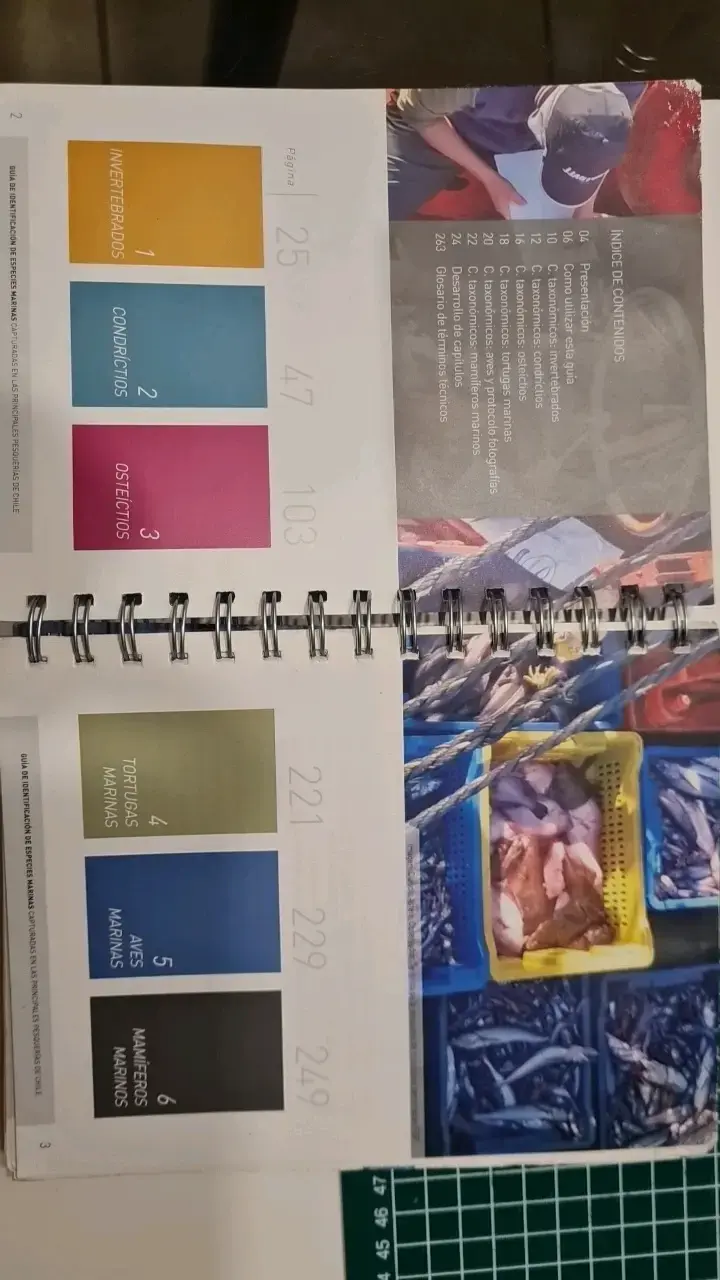 Guía de Identificación de Especies Marinas  Chile - 3