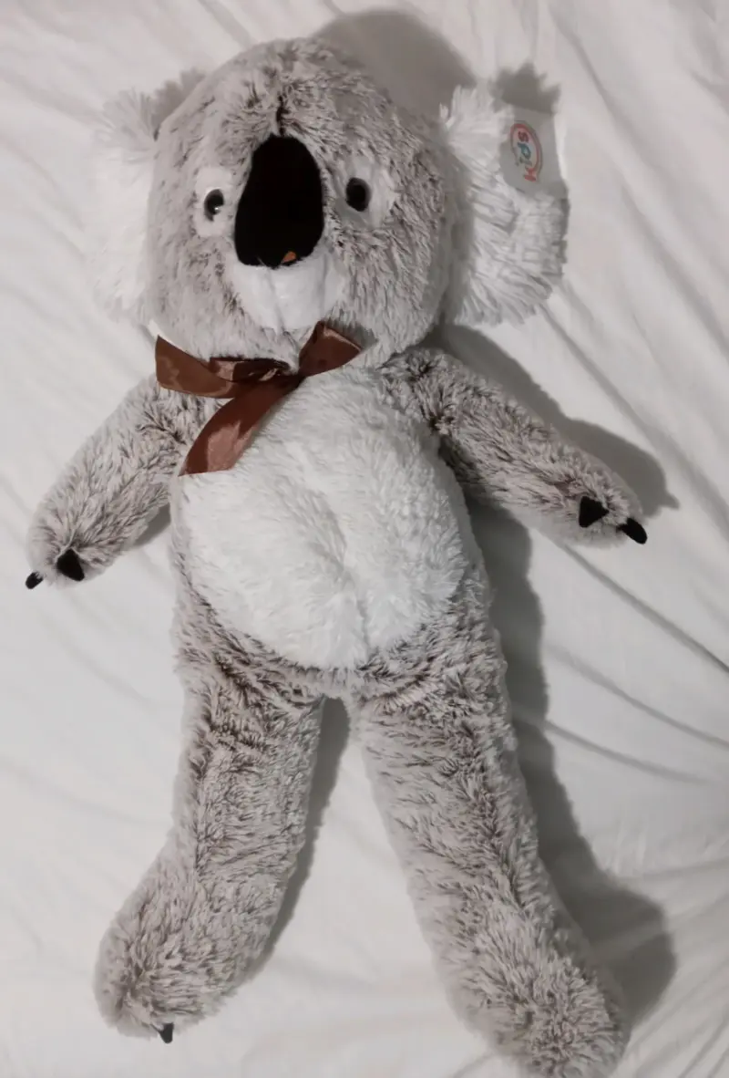 Peluche Koala Grande con Lazo Marrón