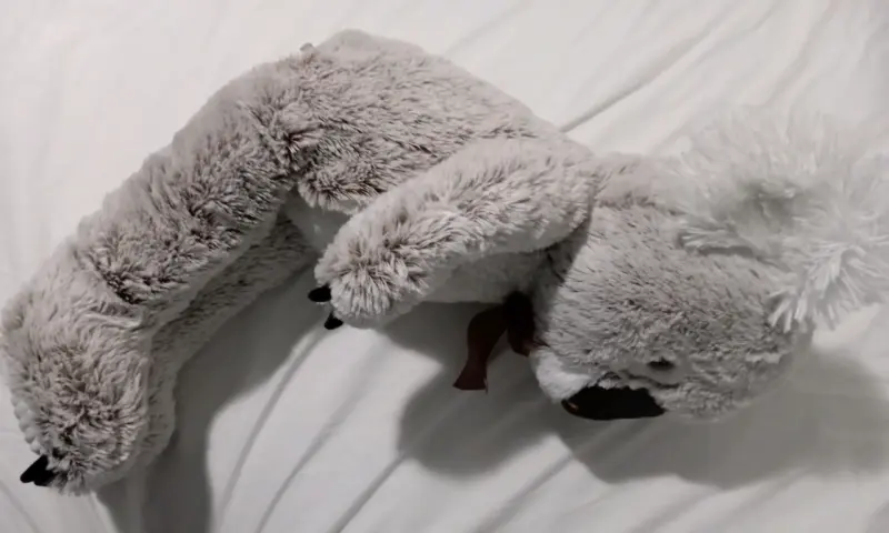 Peluche Koala Grande con Lazo Marrón - 4