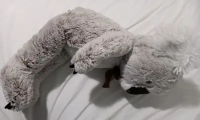Peluche Koala Grande con Lazo Marrón - miniatura 4