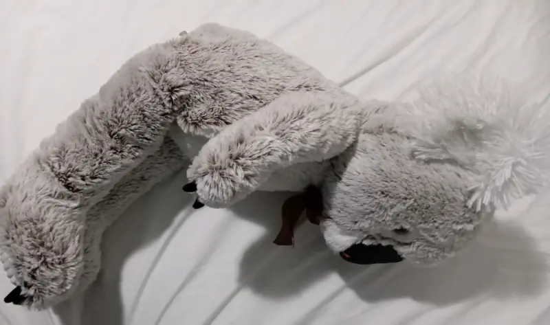 Peluche Koala Grande con Lazo Marrón - 5