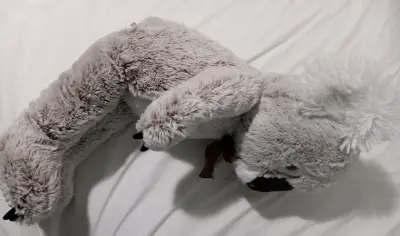 Peluche Koala Grande con Lazo Marrón - miniatura 5