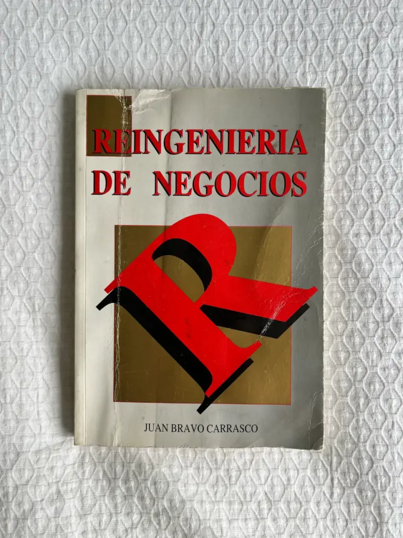 Libro Reingeniería de Negocios por Juan Bravo Carrasco