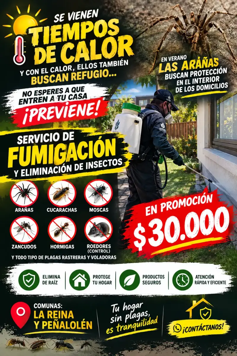 Servicio de fumigación y control de plagas en promoción