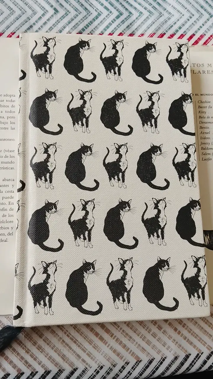 Libro Miscelánea de Gatos de Océano Ámbar - 3