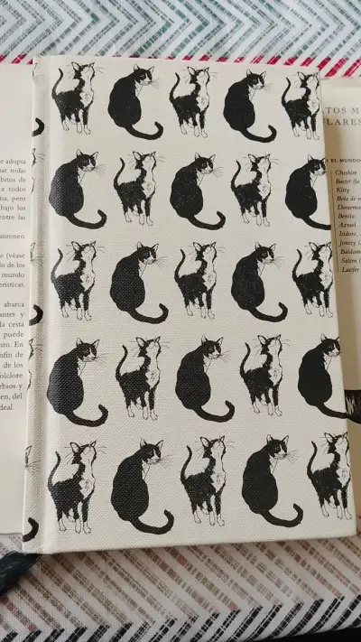 Libro Miscelánea de Gatos de Océano Ámbar - miniatura 3
