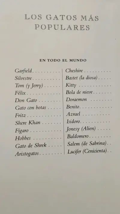 Libro Miscelánea de Gatos de Océano Ámbar - miniatura 4