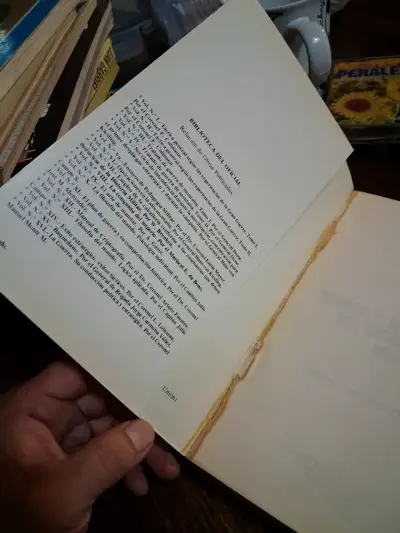 Libro Héroes y Soldados Ilustres del Ejército de Chile 1810-1891 - miniatura 3