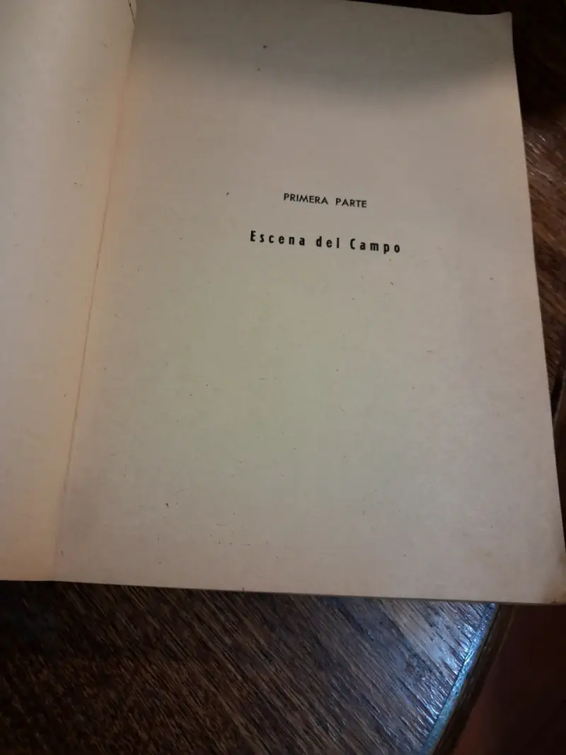 Libro 'El Ideal de un Calavera' de Alberto Blest Gana - 4