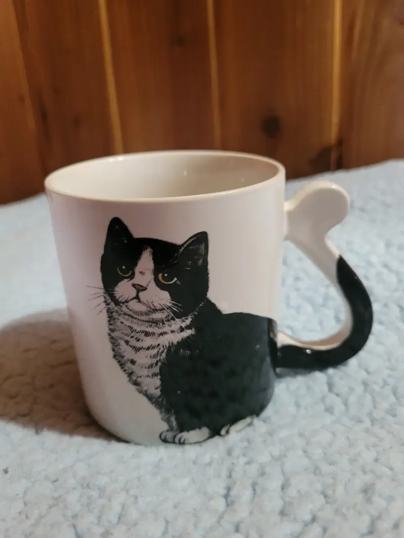 Taza de cerámica con diseño de gato - 2