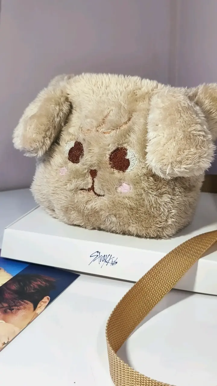 Cartera Puppym / Stray Kids - 2